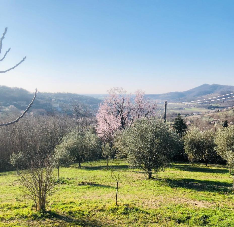 Tavern Di Arqua' Arquà Petrarca Buitenkant foto